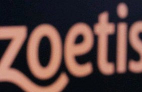 cbzoetis short1 cbzoetis short1