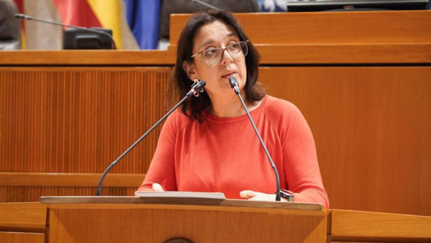 ep archivo la consejera de economia competitividad y empleo del gobierno de aragon eva valle ep archivo la consejera de economia competitividad y empleo del gobierno de aragon eva valle