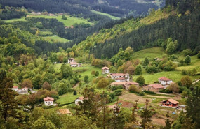 ep archivo   prados de euskadi