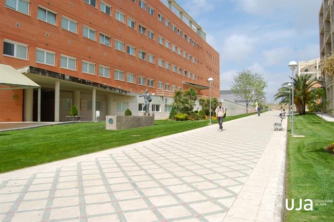 Campus de las Lagunillas de la Universidad de Jaén. | UJA ep campuslas lagunillasla universidadjaen