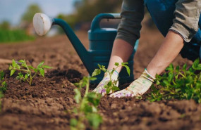 ep equilibrar rentabilidad y proteccion del entorno reto clave para lograr sistemas productivos