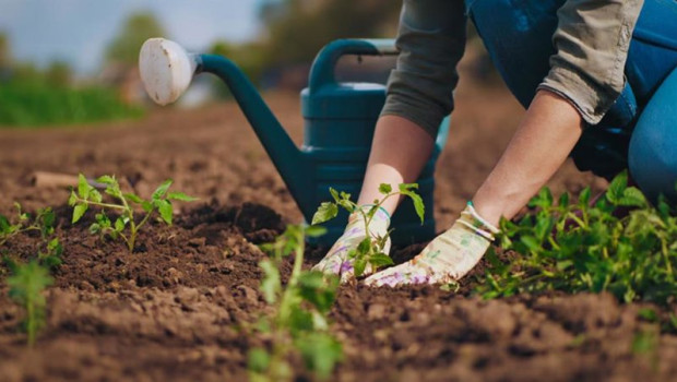 ep equilibrar rentabilidad y proteccion del entorno reto clave para lograr sistemas productivos