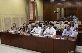 ep grupotrabajola financiacion autonomica