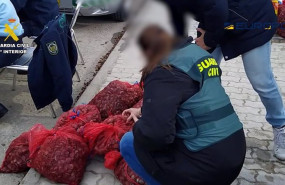 ep la guardia civil ha detenido a 19 personas en espana por pescar ilegalmente toneladas de moluscos
