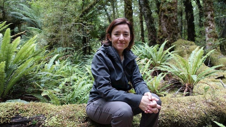 ep la pateontologa del instituto universitario de ciencias ambientales de aragon laia alegret en