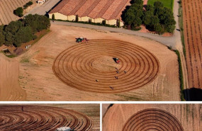 ep plantaciones del primer vinedo en espiral de espana en aster anguix burgos de la rioja alta sa