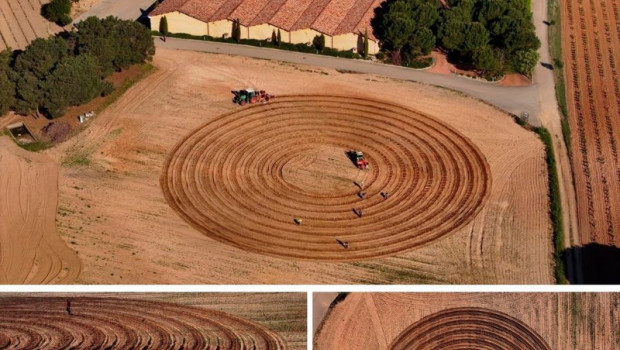 ep plantaciones del primer vinedo en espiral de espana en aster anguix burgos de la rioja alta sa