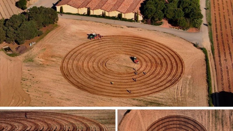 ep plantaciones del primer vinedo en espiral de espana en aster anguix burgos de la rioja alta sa ep plantaciones del primer vinedo en espiral de espana en aster anguix burgos de la rioja alta sa