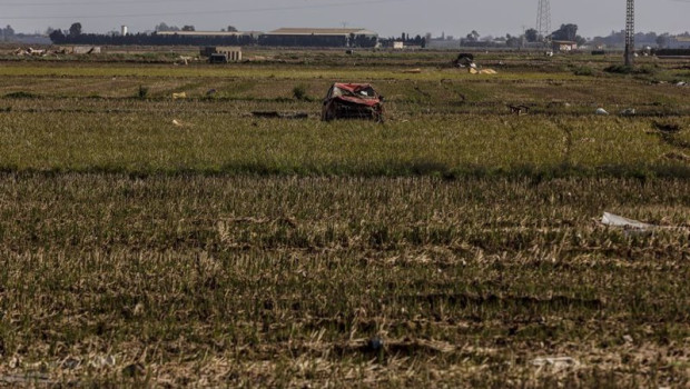 ep restos de la dana en un campo de arrozales