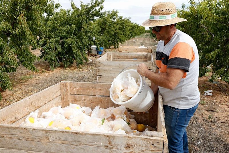 ep upa reclama cambios en el sector hortofruticola para lograr unos precios justos