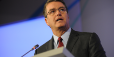 roberto-azevedo roberto-azevedo