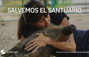 santuario vegan medios1