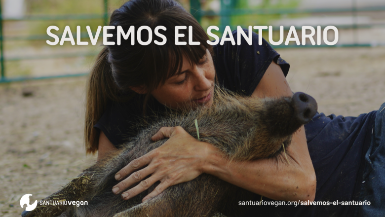 santuario vegan medios1