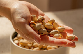 0 29 min 20260129130235 