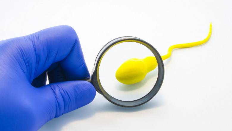 1633939617 shutterstock1290589387 