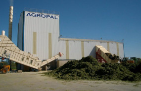 ep archivo descarga de forrajes en una de las fabricas de agropal ep archivo descarga de forrajes en una de las fabricas de agropal