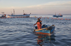 ep archivo   pesca acuerda la distribucion de 56 millones de presupuestos para las paradas