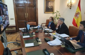 ep el ministro del interior fernando grande-marlaska en la reunion telematica donde se han