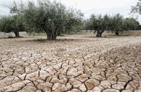 ep np antepertinaz sequia la iglesiajaen pide oracionesla lluvia