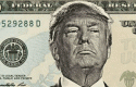 trumpdolar trumpdolar