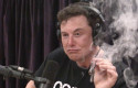 elon musk marihuana