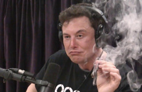 elon musk marihuana elon musk marihuana