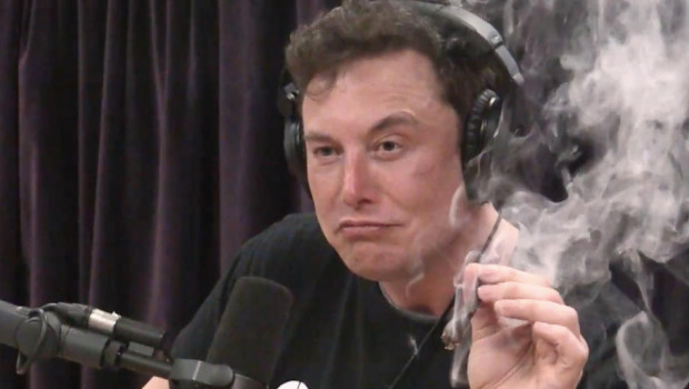 elon musk marihuana