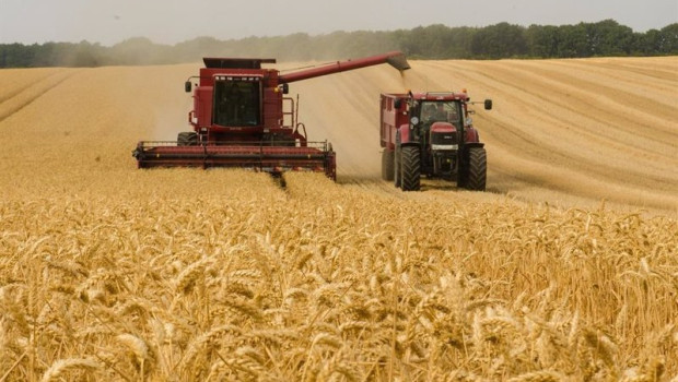 ep archivo   agricultor cosechando en el campo