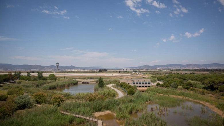 ep archivo   el aeropuerto de de josep tarradellas barcelona el prat cerca del espacio protegido