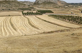ep campo de cultivo de cereal