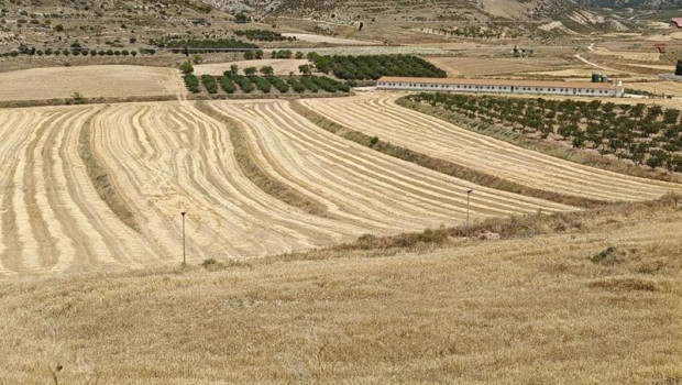 ep campo de cultivo de cereal