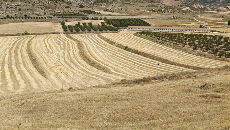ep campo de cultivo de cereal