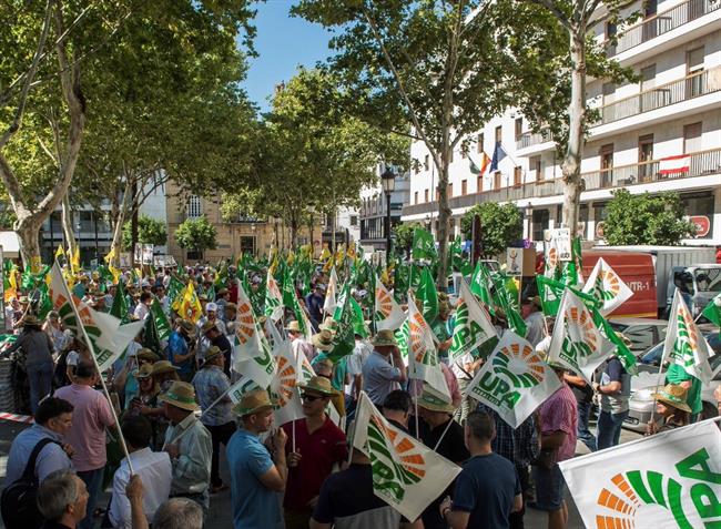 Concentración en defensa del sector de la aceituna. | JUNTA DE ANDALUCÍA/Archivo ep concentraciondefensasectorla aceituna