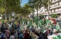 ep concentraciondefensasectorla aceituna ep concentraciondefensasectorla aceituna