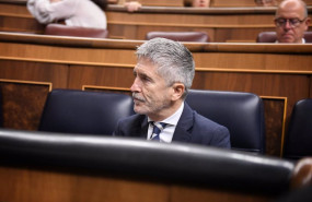 ep el ministro de interior fernando grande marlaska durante un pleno en el congreso de los diputados