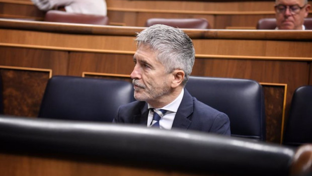 ep el ministro de interior fernando grande marlaska durante un pleno en el congreso de los diputados