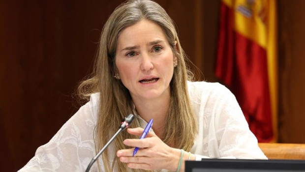 ep la ministra para la transicion ecologica y el reto demografico sara aagesen comparece ante la ep la ministra para la transicion ecologica y el reto demografico sara aagesen comparece ante la