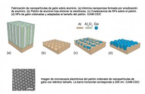 ep metodomejorar biosensoresenfermedades raras