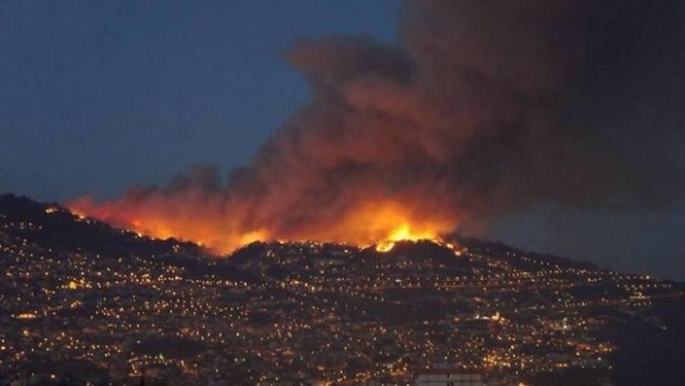 madeira incendio