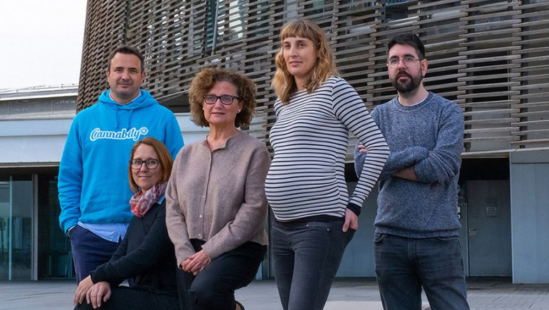 1576604665 canabity ndp def baja3