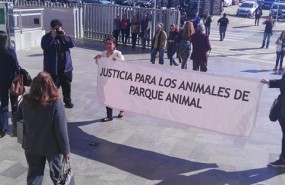 ep acusadajuicio parque animalla salidalos juzgados