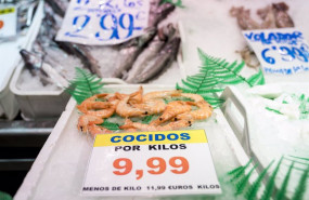 ep archivo   precios en una pescaderia