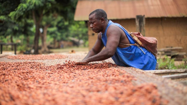 ep archivo   procesamiento del cacao