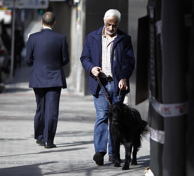 ep discapacidad discapacitado ciego personas ciegasperro guia lazarillo 20170425124603