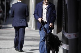 ep discapacidad discapacitado ciego personas ciegasperro guia lazarillo 20170425124603