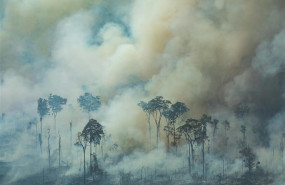 ep handout - 24 august 2019 brazil rondonia smoke rises from the forest during a fire near the town