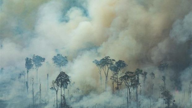 ep handout - 24 august 2019 brazil rondonia smoke rises from the forest during a fire near the town