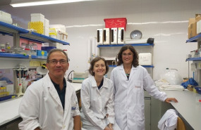 ep los investigadores vicent casado estefania moreno y vernica casado-anguera del grupo de