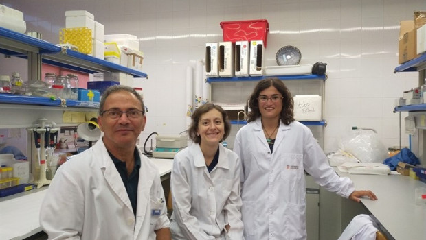 ep los investigadores vicent casado estefania moreno y vernica casado-anguera del grupo de