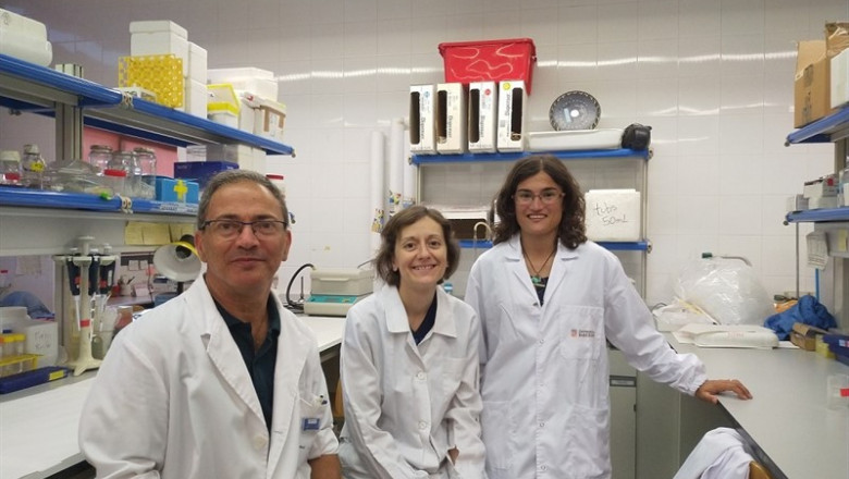 ep los investigadores vicent casado estefania moreno y vernica casado-anguera del grupo de
